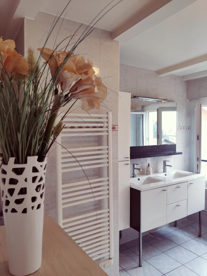 Au Bord Du Foron Appartement